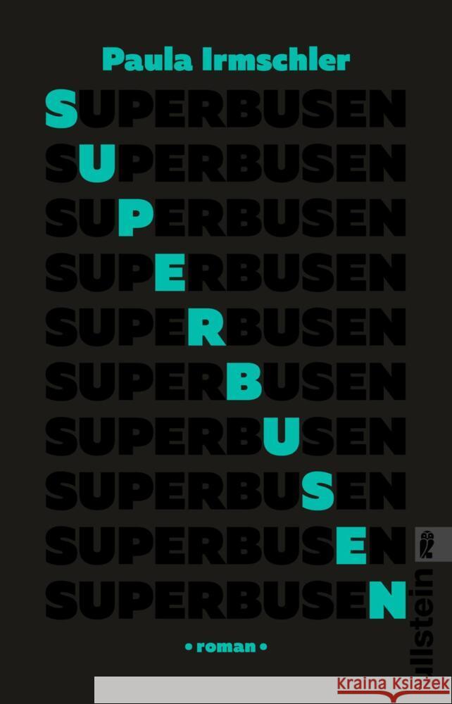 Superbusen Irmschler, Paula 9783548064727 Ullstein TB