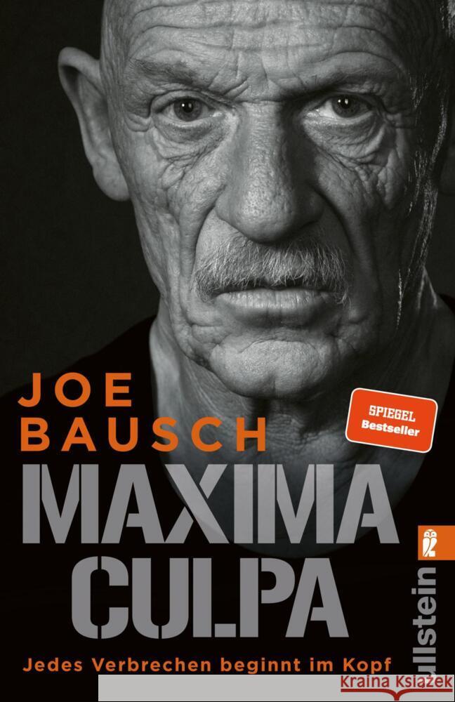 Maxima Culpa Bausch, Joe, Job, Bertram 9783548066615 Ullstein TB