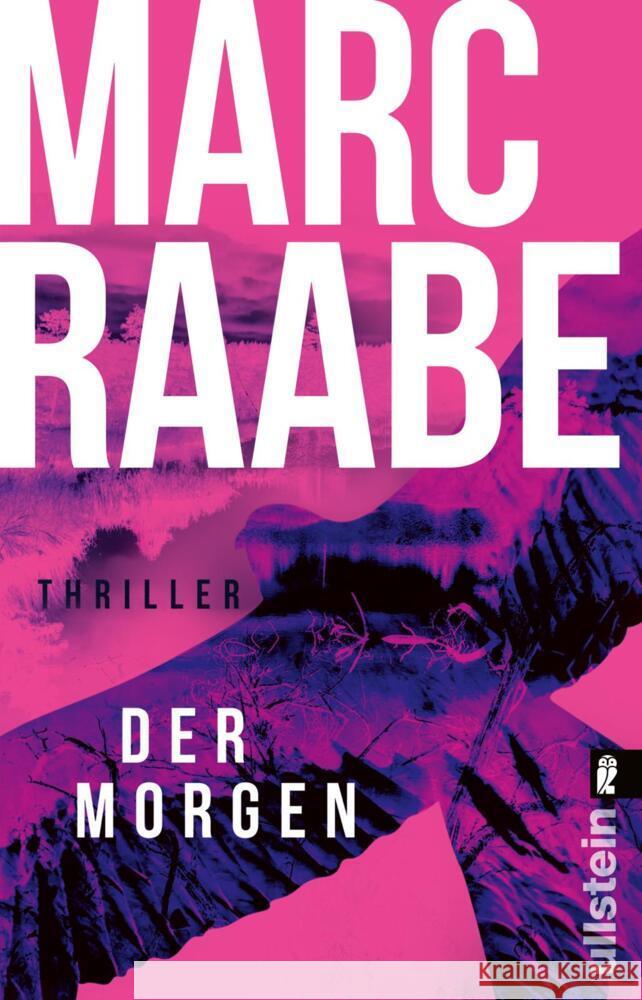 Der Morgen Raabe, Marc 9783548069234 Ullstein TB