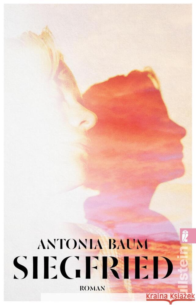 Siegfried Baum, Antonia 9783548069302 Ullstein TB