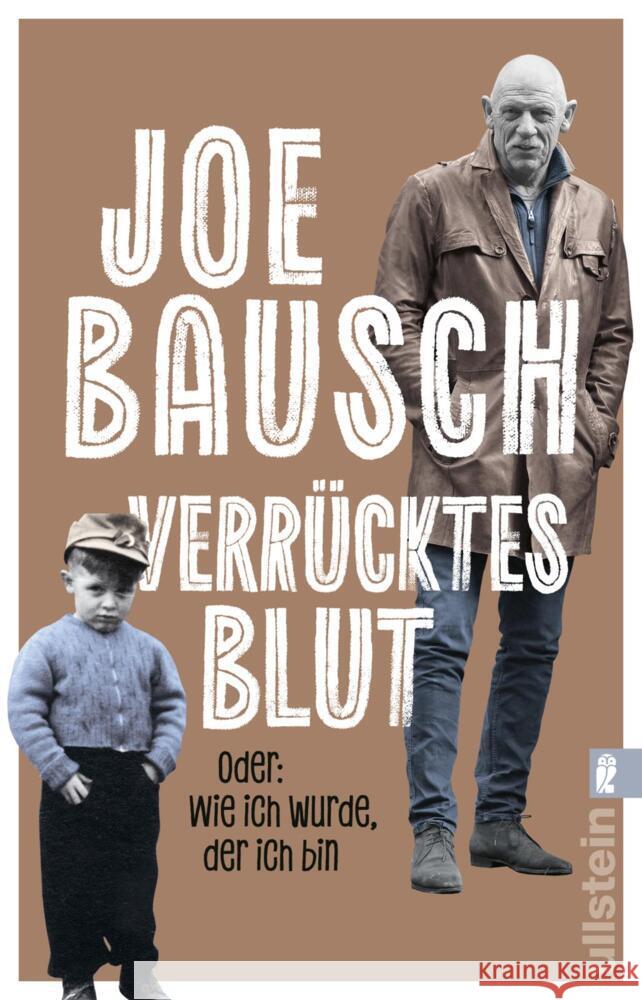 Verrücktes Blut Bausch, Joe 9783548070469