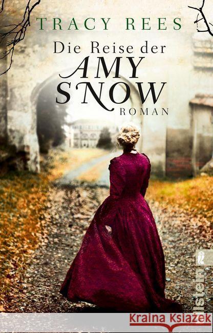 Die Reise der Amy Snow : Roman Rees, Tracy 9783548289809