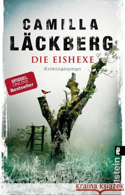 Die Eishexe : Kriminalroman Läckberg, Camilla 9783548290669 Ullstein TB