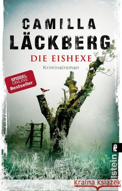 Die Eishexe : Kriminalroman Läckberg, Camilla 9783548290669