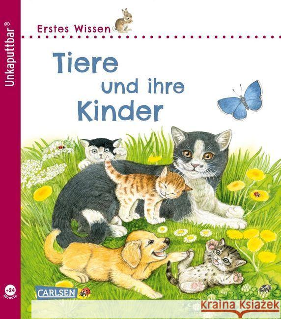 Erstes Wissen: Tiere und ihre Kinder Klose, Petra 9783551036056 Carlsen