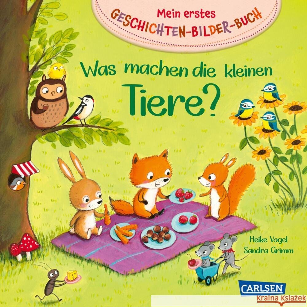 Mein erstes Geschichten-Bilder-Buch: Was machen die kleinen Tiere? Grimm, Sandra 9783551171887