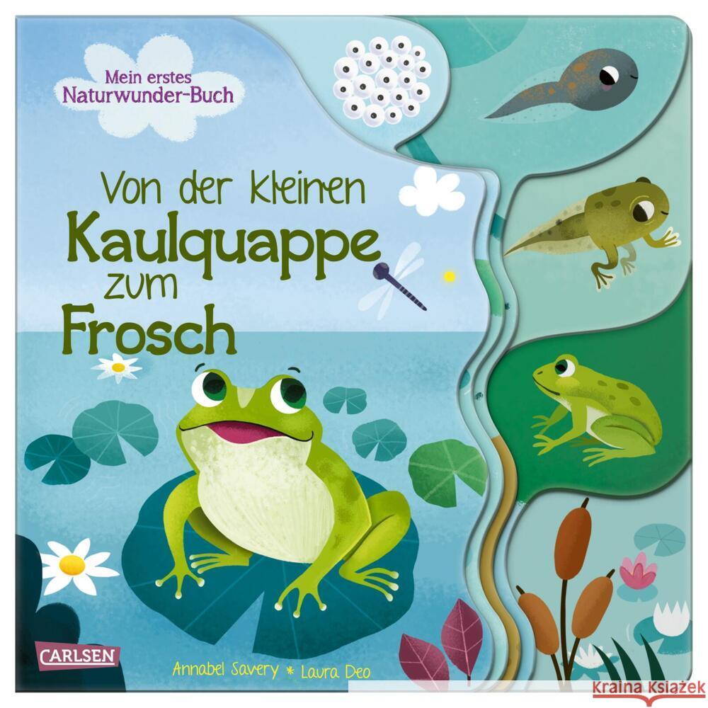 Von der kleinen Kaulquappe zum Frosch Savery, Annabel 9783551172198 Carlsen