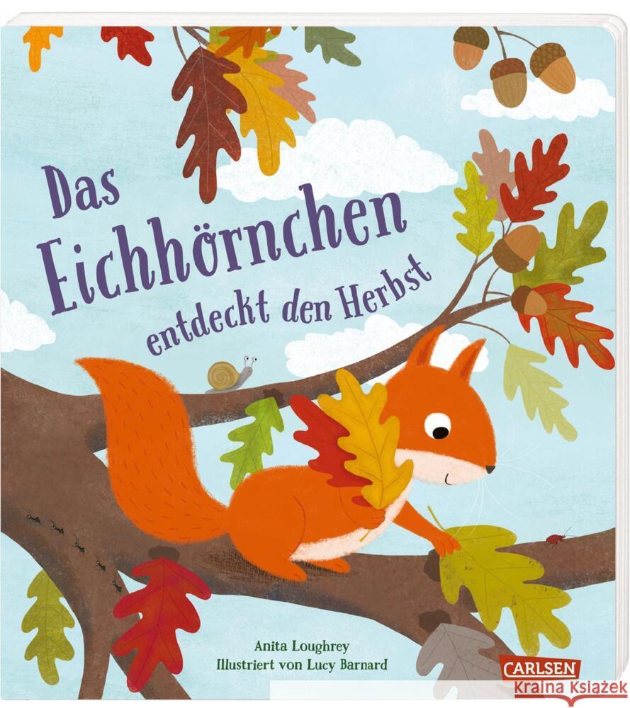 Das Eichhörnchen entdeckt den Herbst Loughrey, Anita 9783551172631