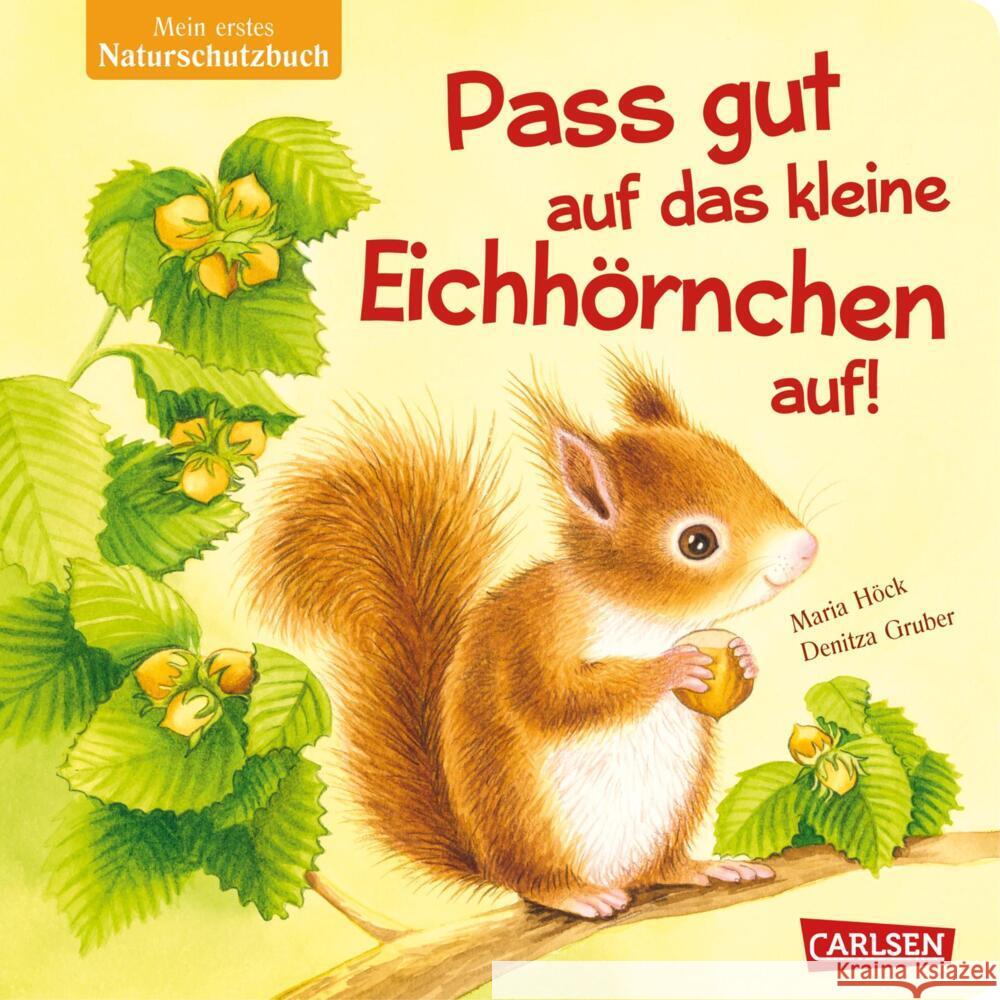 Pass gut auf das kleine Eichhörnchen auf Höck, Maria 9783551172808