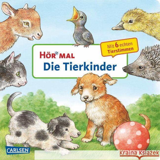 Hör mal - Die Tierkinder, m. Soundeffekten : Mit 6 echten Tierstimmen Möller, Anne 9783551250469 Carlsen