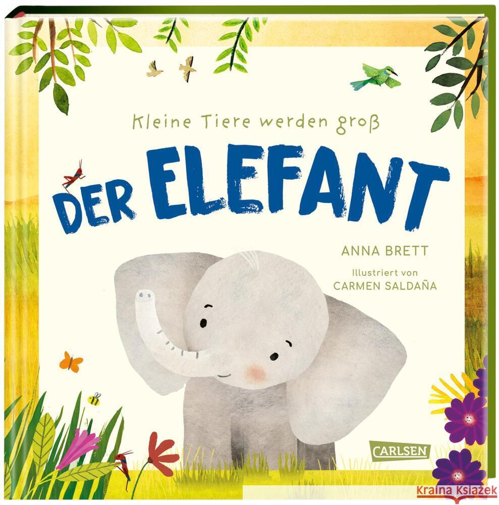 Kleine Tiere werden groß - Der Elefant Brett, Anna 9783551254979