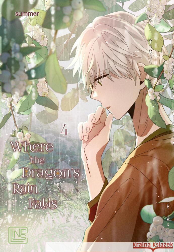 Where the Dragon's Rain Falls 4 Summer 9783551803672