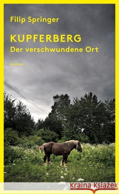 Kupferberg : Der verschwundene Ort Springer, Filip 9783552059085 Zsolnay