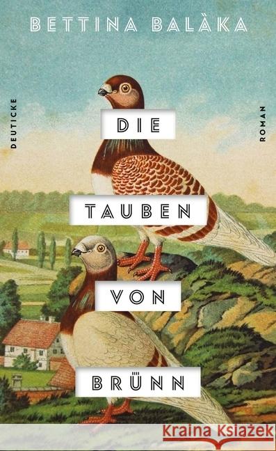 Die Tauben von Brünn : Roman Balàka, Bettina 9783552063990 Deuticke Verlag