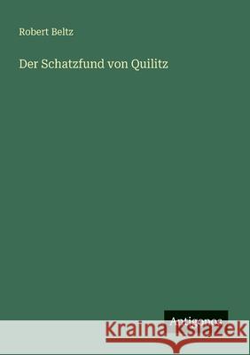 Der Schatzfund von Quilitz Robert Beltz 9783563163979