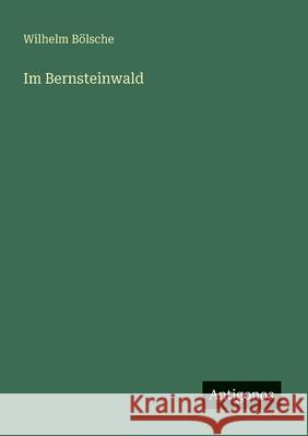 Im Bernsteinwald Wilhelm B?lsche 9783563167847 Antigonos Verlag