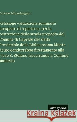 Relazione valutazione sommaria prospetto di reparto ec. per la costruzione della strada proposta dal Comune di Caprese che dalla Provinciale della Lib Caprese Michelangelo 9783563228340