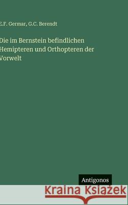 Die im Bernstein befindlichen Hemipteren und Orthopteren der Vorwelt E. F. Germar G. C. Berendt 9783563970058