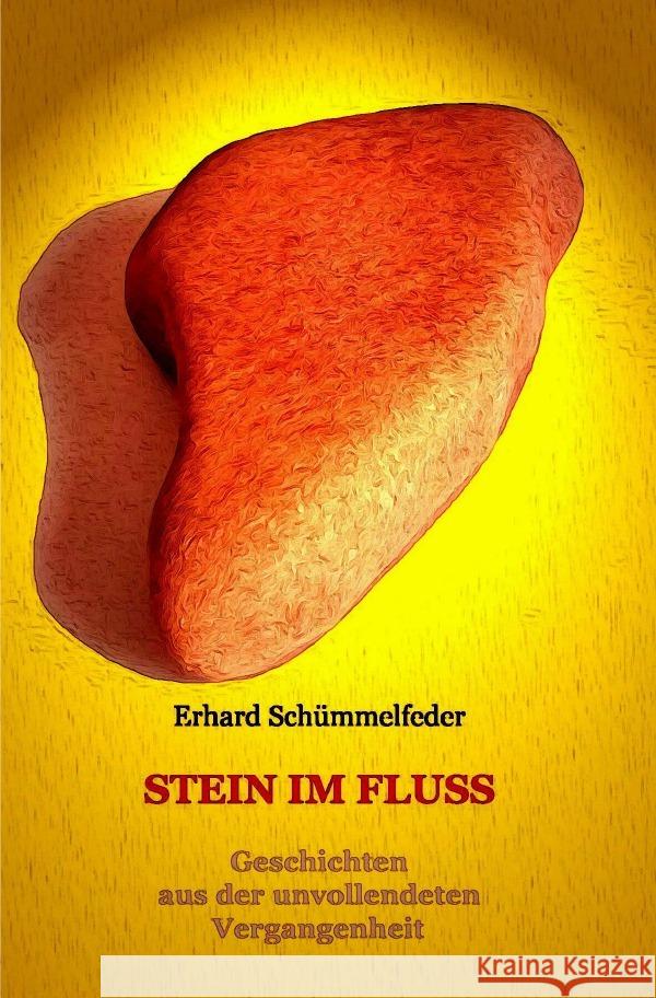 Stein im Fluss Schümmelfeder, Erhard 9783565009183