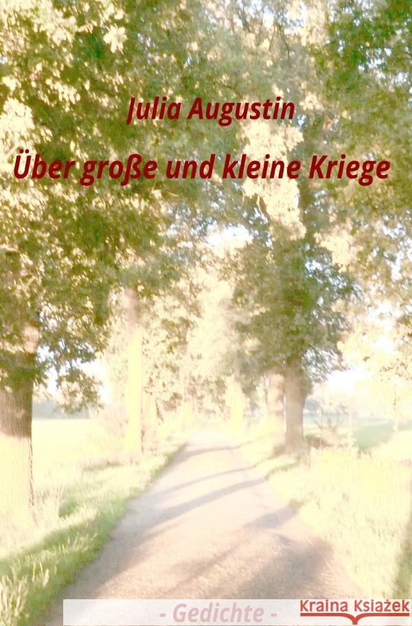 Über große und kleine Kriege Augustin, Julia 9783565010660