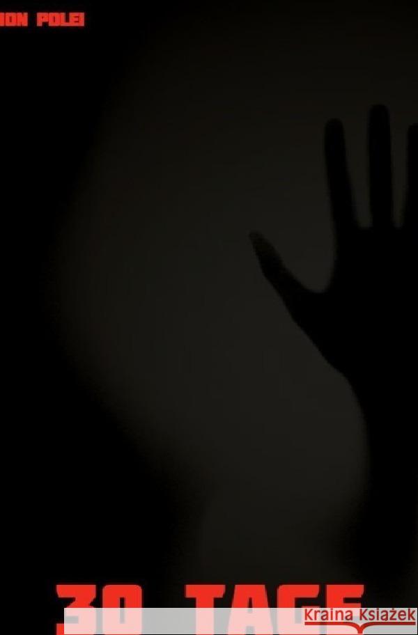 30 Tage im Schatten meiner Seele Polei, Dion 9783565013074 epubli