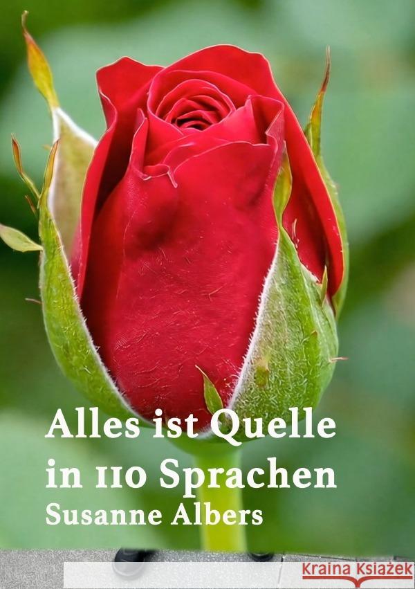 Alles ist Quelle Albers, Susanne 9783565031870
