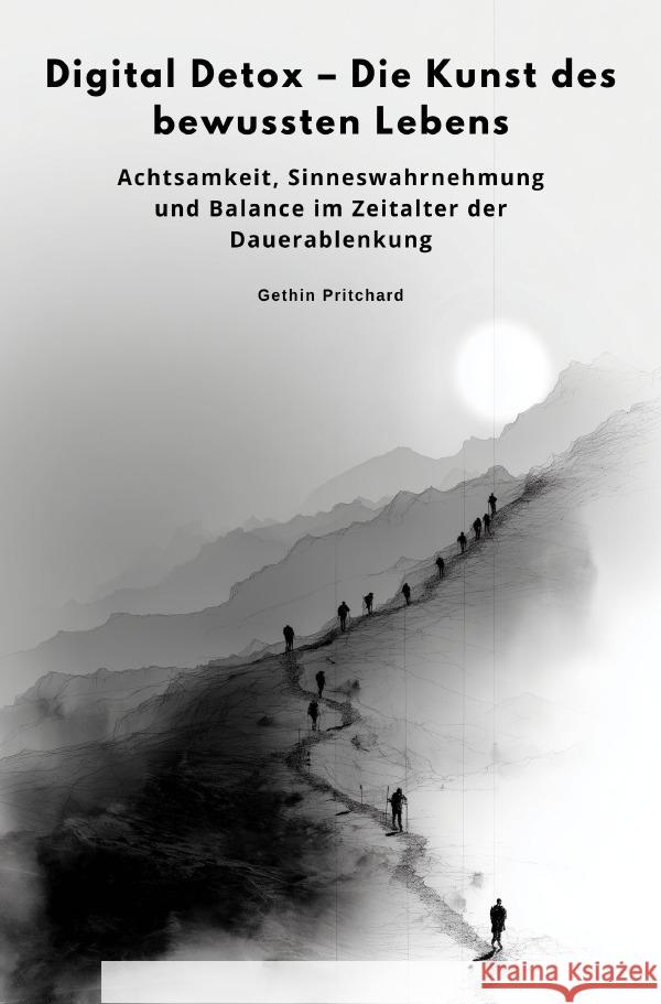 Digital Detox - Die Kunst des bewussten Lebens Pritchard, Gethin 9783565049936