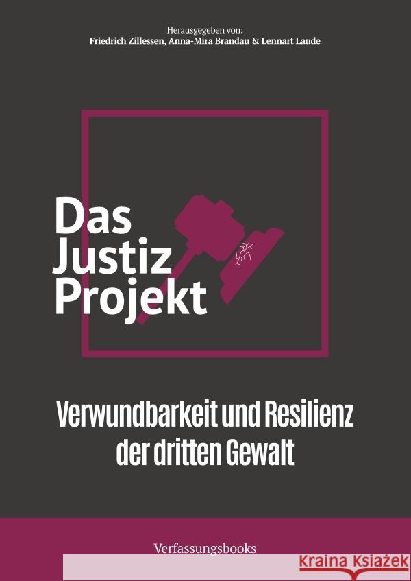 Das Justiz-Projekt Zillessen, Friedrich, Brandau, Anna-Mira 9783565112197 epubli