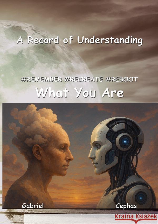 A Record of Understanding Visser, Peter Gabriël 9783565215416