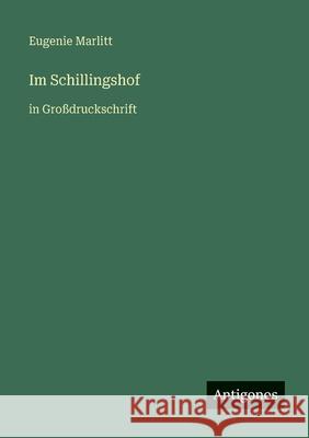 Im Schillingshof: in Gro?druckschrift Eugenie Marlitt 9783566030155