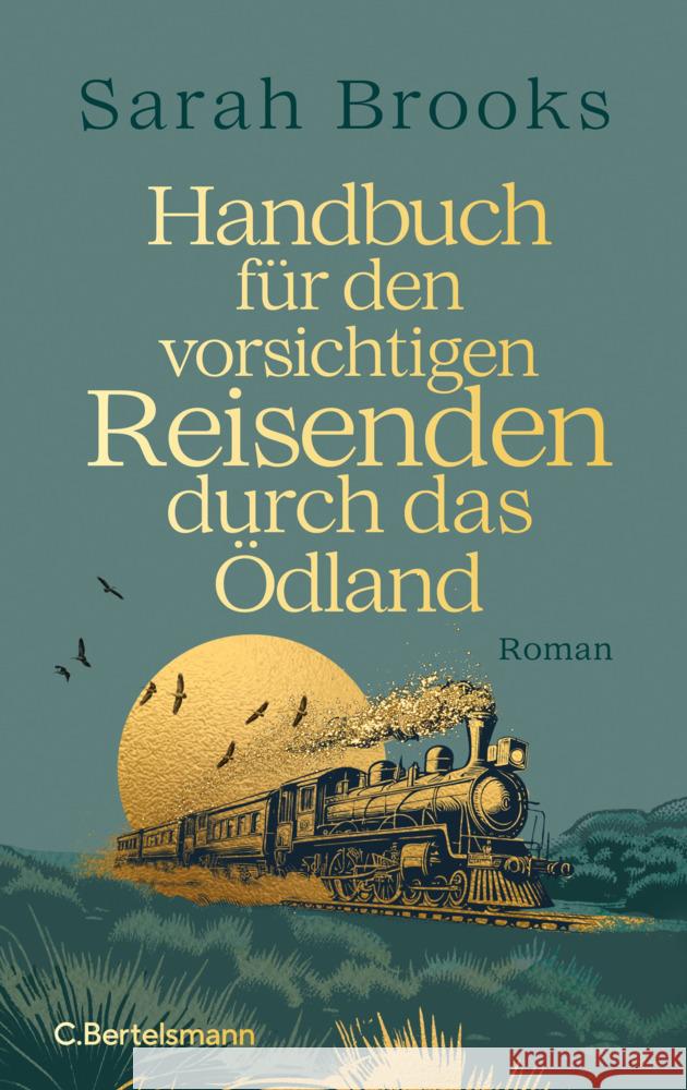 Handbuch für den vorsichtigen Reisenden durch das Ödland Brooks, Sarah 9783570105009