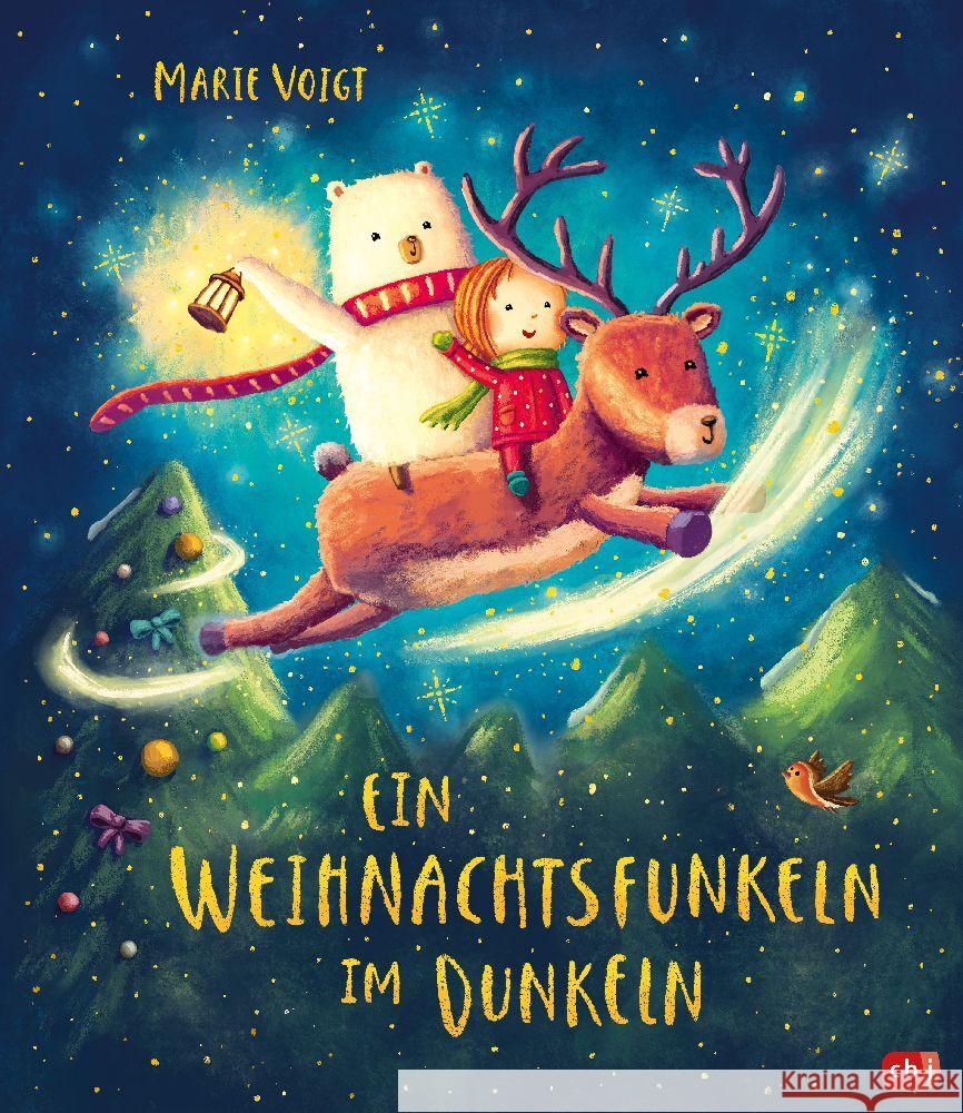 Ein Weihnachtsfunkeln im Dunkeln Voigt, Marie 9783570181034 cbj