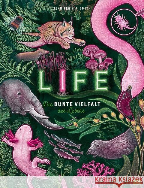 LIFE - Die bunte Vielfalt des Lebens Smith, Jennifer N.R. 9783570182598 cbj
