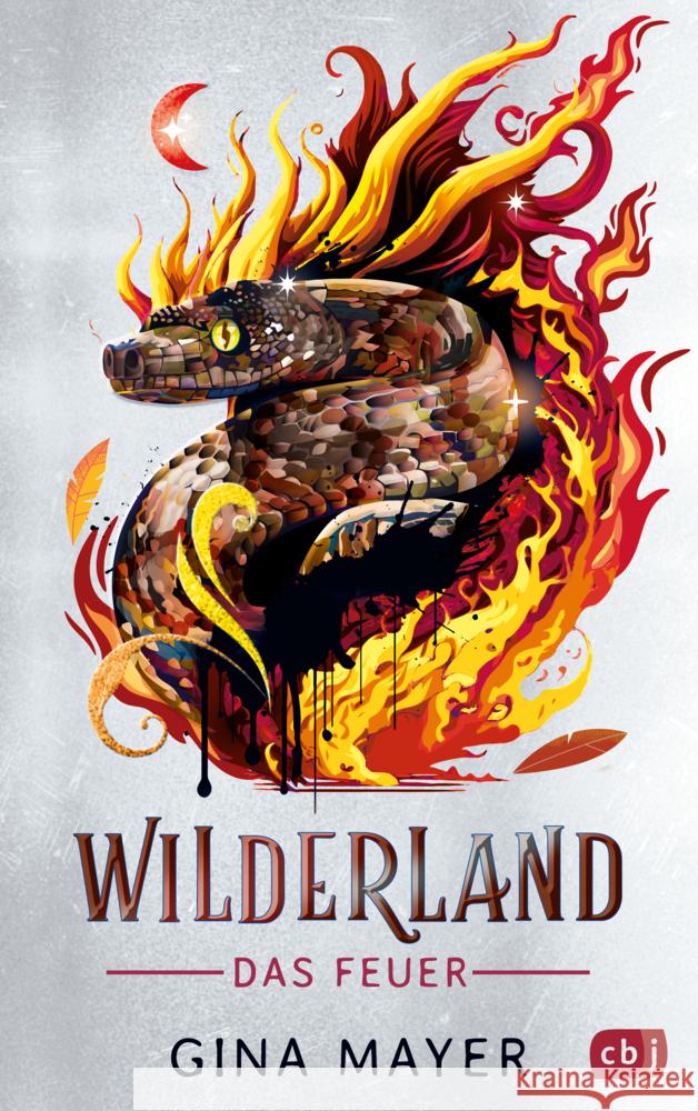 Wilderland - Das Feuer Mayer, Gina 9783570182611