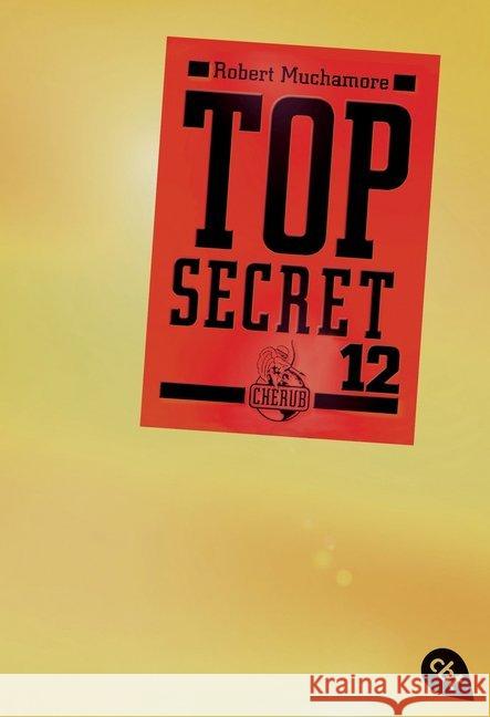 Top Secret - Die Entscheidung Muchamore, Robert 9783570308301 cbt