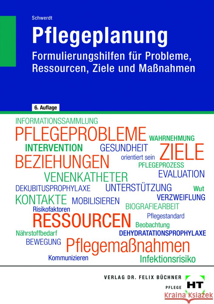 Pflegeplanung Schwerdt, Christine 9783582665379