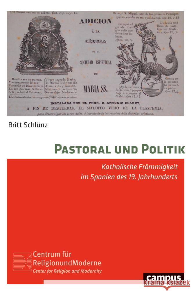 Pastoral und Politik Schlünz, Britt 9783593517476 Campus Verlag