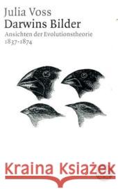 Darwins Bilder : Ansichten der Evolutionstheorie 1837-1874. Ausgezeichnet mit dem Sigmund-Freud-Preis für wissenschaftliche Prosa Voss, Julia   9783596176274