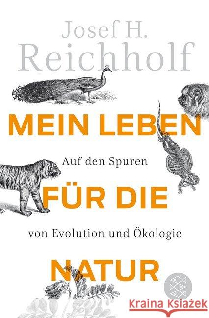 Mein Leben für die Natur : Auf den Spuren von Evolution und Ökologie Reichholf, Josef H. 9783596187201 FISCHER Taschenbuch