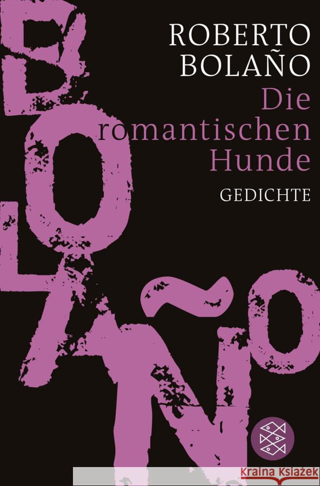 Die romantischen Hunde Bolaño, Roberto 9783596187874