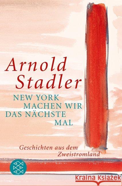 New York machen wir das nächste Mal : Geschichten aus dem Zweistromland Stadler, Arnold 9783596192939