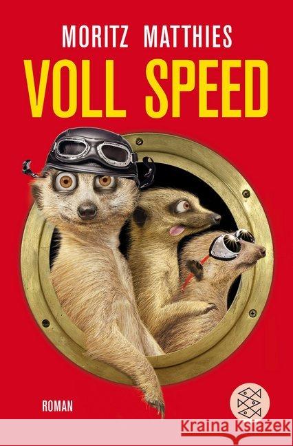Voll Speed : Roman Matthies, Moritz 9783596196456