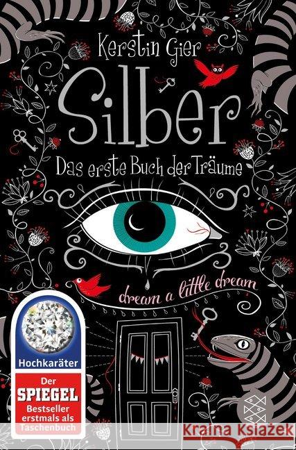 Silber - Das erste Buch der Träume : Roman Gier, Kerstin 9783596196739 FISCHER Taschenbuch