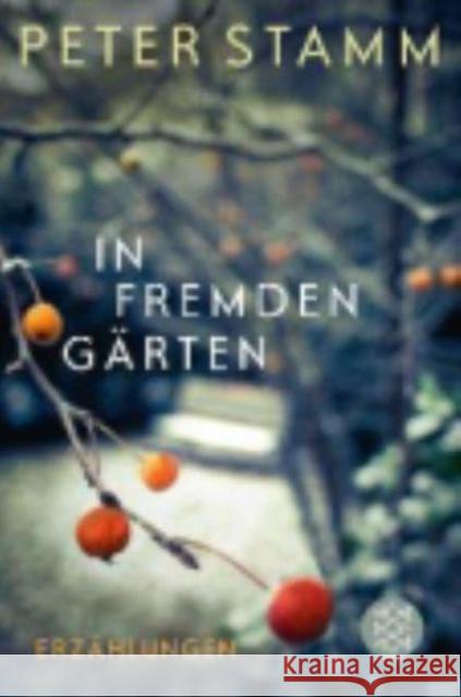 In fremden Gärten : Erzählungen Peter Stamm   9783596197125