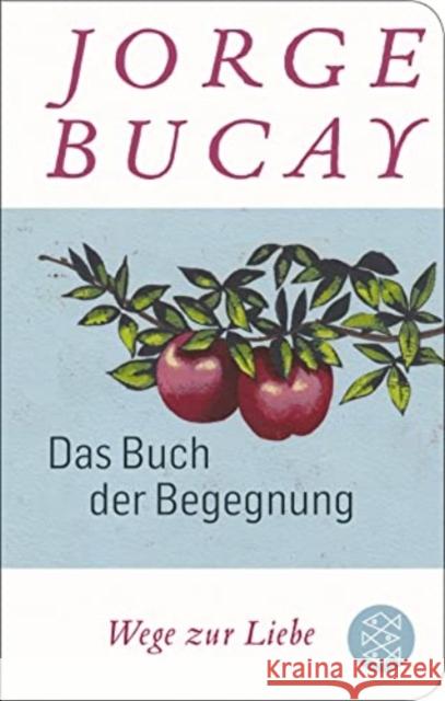 Das Buch der Begegnung Bucay, Jorge 9783596521630 FISCHER Taschenbuch