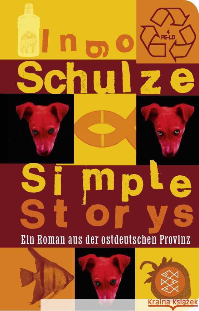 Simple Storys Schulze, Ingo 9783596523757