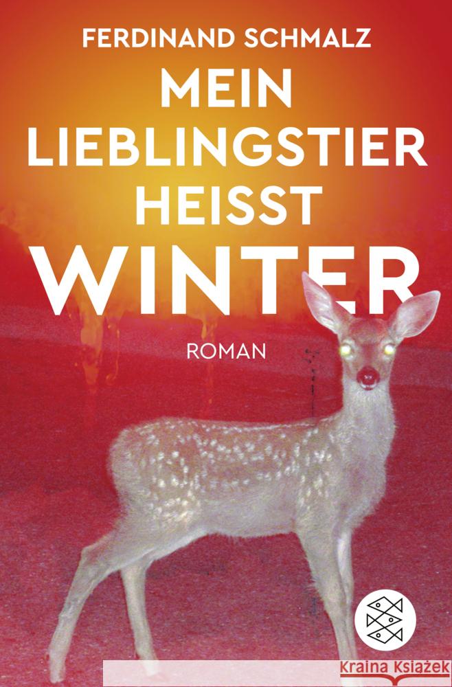 Mein Lieblingstier heißt Winter Schmalz, Ferdinand 9783596703470 FISCHER Taschenbuch