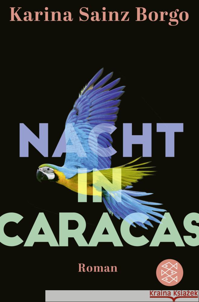 Nacht in Caracas Sainz Borgo, Karina 9783596704972