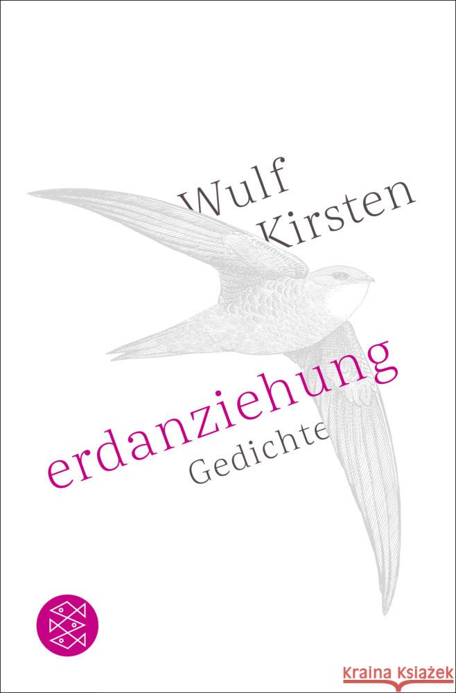 Erdanziehung Kirsten, Wulf 9783596710232 FISCHER Taschenbuch