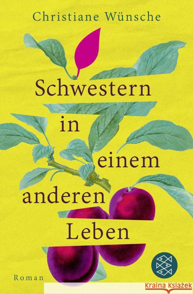 Schwestern in einem anderen Leben Wünsche, Christiane 9783596712076